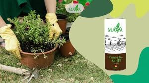 سفارش اینترنتی کود کلات روی مایا رشد