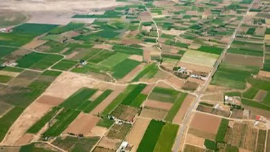 منابع طبیعی تهران: ۵۰۰ هکتار از اراضی دماوند آزادسازی شد
